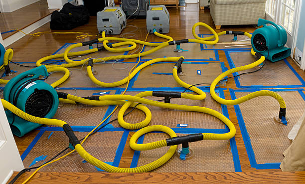Professional Sewage Cleanup technician working in Cypress, TX